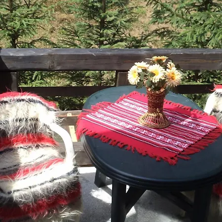 Doina 보로네츠